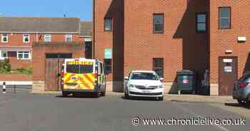 Police give update on investigation after woman's body found in flat