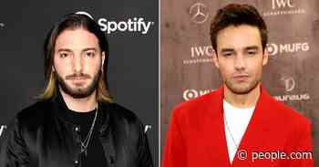 Alesso Says He Was 'Fanboying Hard' When Liam Payne Visited Sweden to Record 'Midnight' - PEOPLE