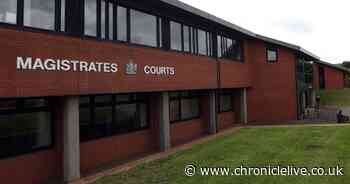 Man charged after elderly residents in Newcastle targeted in string of thefts