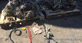 The bizarre things people have flushed down the toilet during lockdown