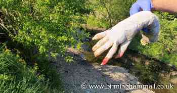 'Hand and arm' found in river - but all is not as it seems