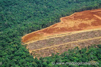 COVID-19 and the Environment: Is There a Relationship?