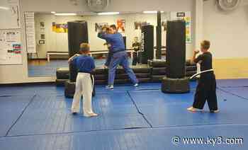 Springfield martial arts business disappointed over new reopening rules - KY3