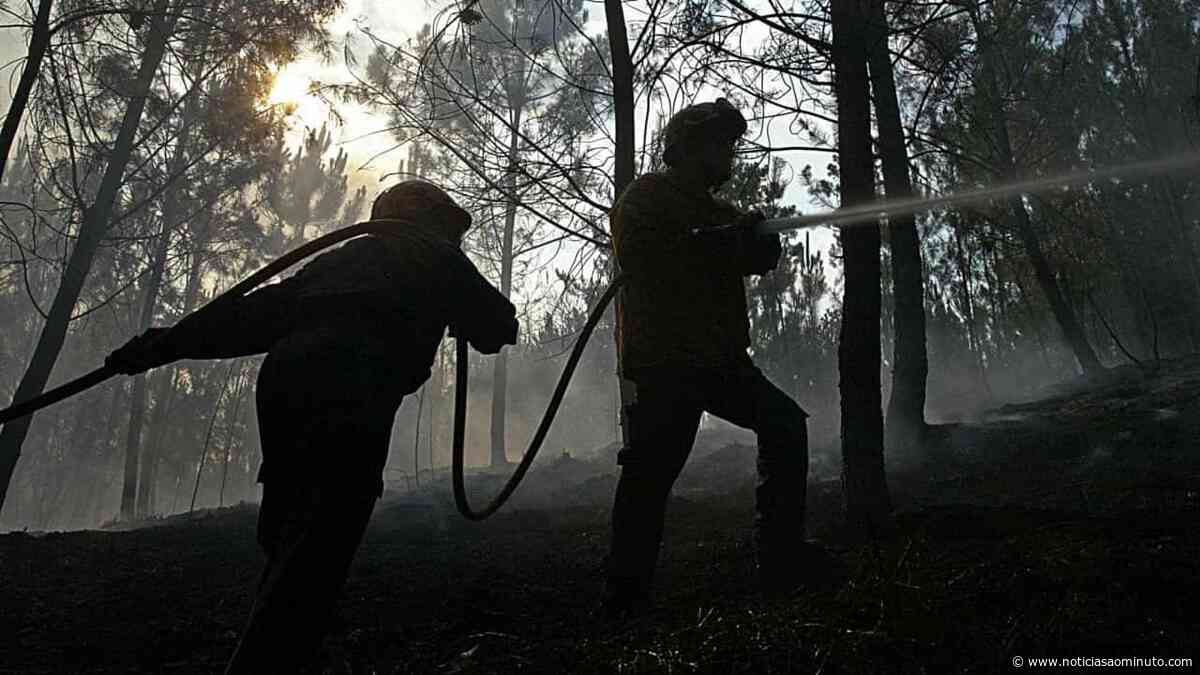 Incêndio em Perafita, Vila Real, em fase de resolução - Notícias ao Minuto