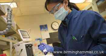 First patients given plasma in Birmingham coronavirus treatment trial