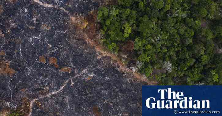 'Promiscuous treatment of nature' will lead to more pandemics – scientists