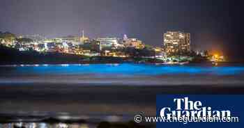 Spectral dance of bioluminescence in California – in pictures
