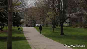 Post-secondary schools face rough autumn if pandemic keeps foreign students away