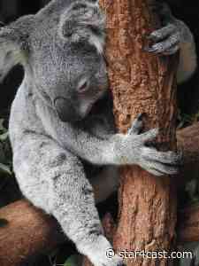 Australia – revisioning their future