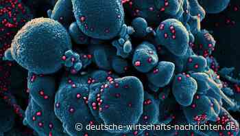 Live-Ticker zum Coronavirus: Alles, was Sie am 7. Mai wissen müssen