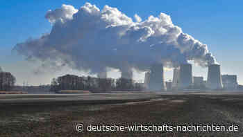 Wird Blackrock die EU-Klimapolitik bestimmen?