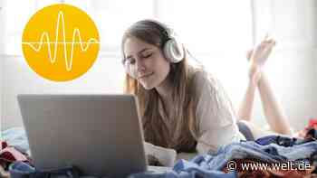 Mit Swinsian gehört der iTunes-Frust der Vergangenheit an