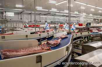 Grupo Tello aumenta su capacidad para exportar a China - EcomercioAgrario