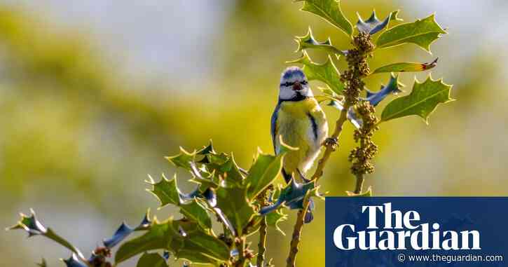 Finding sanctuary in photographing nature during lockdown
