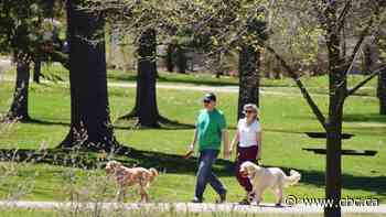 Q & A: Why you may feel physical distancing fatigue, and how to fight it