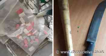 Ecstasy, baseball bat and machete seized as police raid home