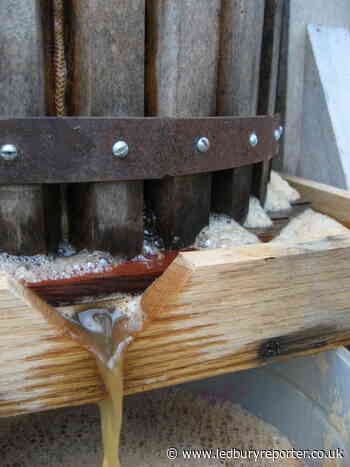 Cider celebration cancelled near Ledbury amid coronavirus pandemic