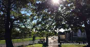 This is when parks in Newport will reopen