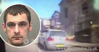 Car thief went wrong day down dual carriageway after police chase