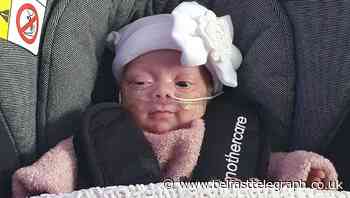 Uplifting news: ‘Miracle’ 1lb baby goes home and rare white squirrel spotted