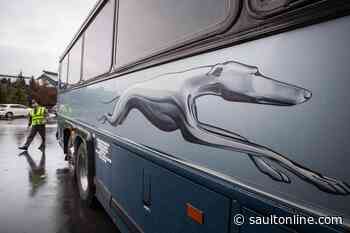 Greyhound Canada to shut down temporarily all bus routes as ridership plunges