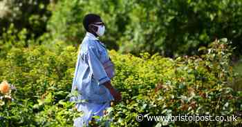 Bristol coronavirus cases and deaths rise again - updated figures