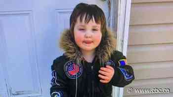Search for missing 3-year-old Nova Scotia boy stretches into 2nd day