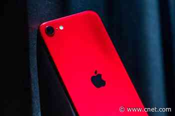 iPhone SE vs. iPhone 8: Which $400 iPhone is a better buy in 2020?     - CNET