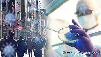 Coronavirus in Illinois: Nurse who recently gave birth among 25 medical professionals to have died from dis... - Fox News