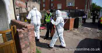 Police sergeant who sustained stab wounds discharged from hospital