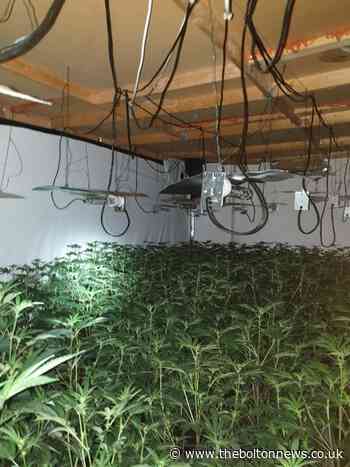 Large Cannabis farm found in Farnworth - The Bolton News