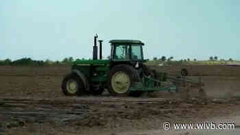 Farm to food bank program feeding thousands in New York State
