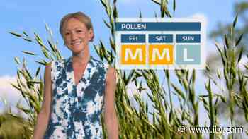 Pollen Count: Moderate! | Wales - ITV News - ITV News