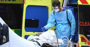 Live Coronavirus updates: Bristol cases, UK death toll and lockdown exit plans - Bristol Live