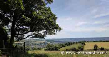 Rural parts of UK could come out of lockdown before cities - Bristol Live