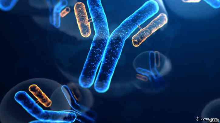 COVID-19 antibody tests available through Sonora Quest Laboratories without  physician order, insurance
