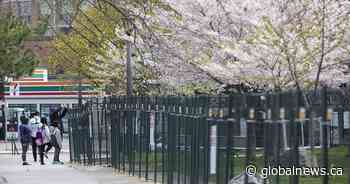 Coronavirus: Latest developments in the Greater Toronto Area on May 7 - Global News