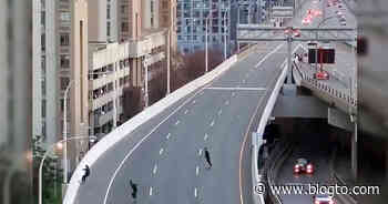 Video shows skateboarders cruising down the Gardiner Expressway in Toronto - blogTO
