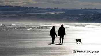 Police make drugs arrest after halting Hull family's trip to Filey 'to walk dog' - ITV News