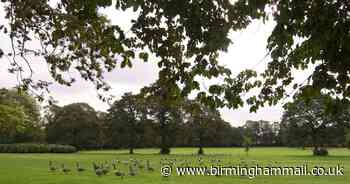 NHS worker taking daily walk robbed of ID card in daylight bag snatch