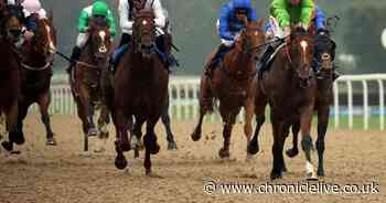 Newcastle Racecourse could host horse racing comeback next week