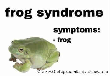Frog Syndrome Symptoms Frog – Meme
