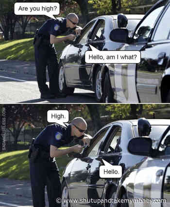 Are You High Hello Am I What? Meme
