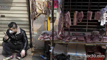 UN: Live animal market where coronavirus may have started shouldn't be closed