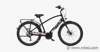 Electra Townie Path Go! Review: An Expensive Starter E-Bike