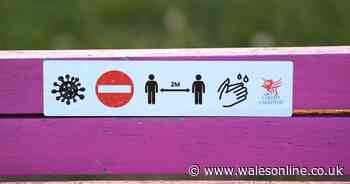 Virus death toll in Wales climbs by 28 as cases hit 11,000