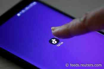 Dutch watchdog to investigate TikTok's use of children's data