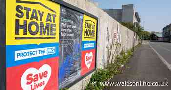 The stark projections for the number of virus deaths in Wales