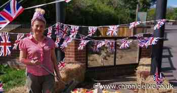 26 pictures of VE Day celebrations around the North East