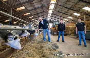 Lokale boer doneert zelfgemaakte runderbouillon aan voedselbank Ede